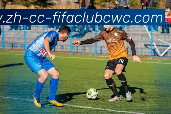 世界杯平台发展历程