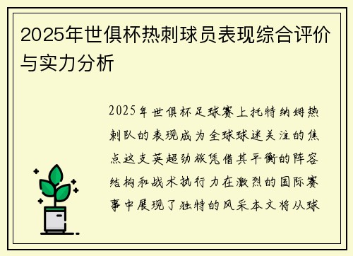 2025年世俱杯热刺球员表现综合评价与实力分析